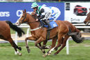 Race 7 - Stormin Norman (3)