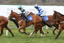 Race 7 - Stormin Norman (4)