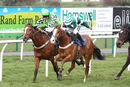 Race 7 - Stormin Norman (5)