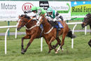 Race 7 - Stormin Norman (6)