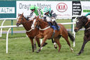 Race 7 - Stormin Norman (7)