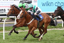 Race 7 - Stormin Norman (8)