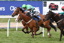 Race 7 - Stormin Norman (9)