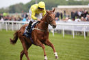 Race 7 - Summer Moon (3)