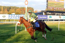 Race 7 - Surin (9)