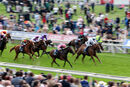 Race 7 - Sweet Enough (2)