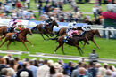 Race 7 - Sweet Enough (3)
