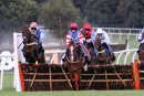 Race 7 - Sweet Holly (3)