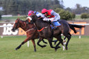 Race 7 - Sweet Holly (7)