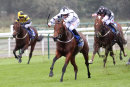 Race 7 - Tahoo (4)
