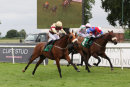 Race 7 - Tanawar (10)