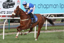 Race 7 - Tango Boy (2)