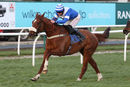 Race 7 - Tango Boy (4)