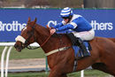 Race 7 - Tango Boy (5)
