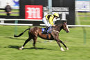 Race 7 - Tawseef (10)