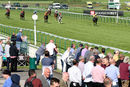 Race 7 - Tawseef (2)