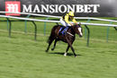 Race 7 - Tawseef (3)