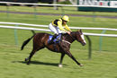 Race 7 - Tawseef (6)
