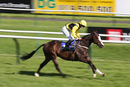 Race 7 - Tawseef (8)