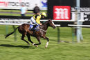 Race 7 - Tawseef (9)