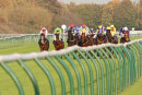 Race 7 - Teomaria (3)