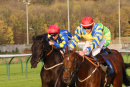 Race 7 - Teomaria (9)