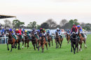 Race 7 - The Armed Man (11)