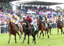 Race 7 - The Armed Man (6)