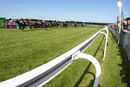 Race 7 - The Covex Kid (5)