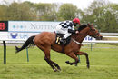 Race 7 - The Kings Steed (13)