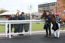 Race 7 - The Kings Steed (15)