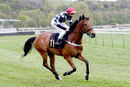 Race 7 - The Kings Steed (1)
