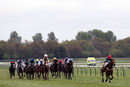 Race 7 - The Kings Steed (3)