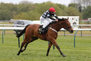 Race 7 - The Kings Steed (7)