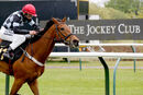 Race 7 - The Kings Steed (8)