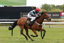 Race 7 - The Kings Steed (9)
