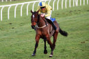 Race 7 - The Last Bridge (3)
