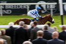 Race 7 - Thunder Moor (5)