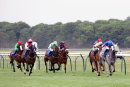 Race 7 - Thundercloud (3)