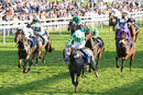 Race 7 - Uno Gregory (3)