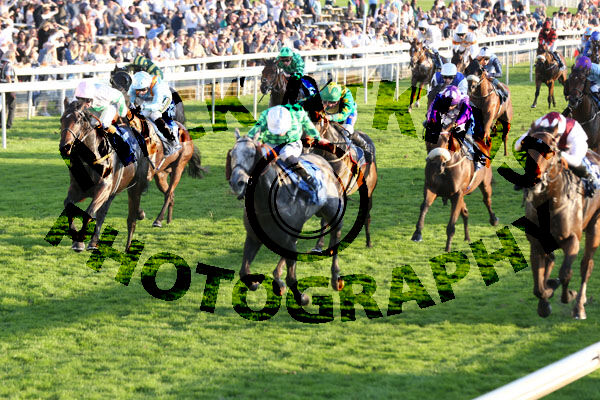 Race 7 - Uno Gregory (4)