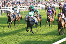 Race 7 - Uno Gregory (4)