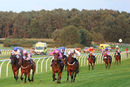 Race 7 - Wild Sam (2)