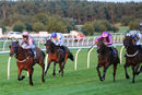 Race 7 - Wild Sam (3)