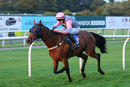 Race 7 - Wild Sam (5)