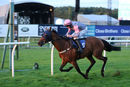 Race 7 - Wild Sam (7)