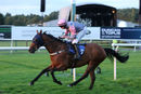 Race 7 - Wild Sam (8)