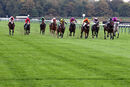 Race 7 - Wrenthorpe (2)