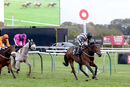 Race 7 - Wrenthorpe (12)