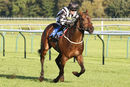 Race 7 - Wrenthorpe (3)